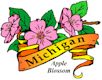 Apple Blossom, Michigan's state flower