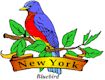 Bluebird, New York's state bird