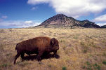 Bear Butte State Park