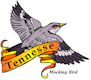 Mockingbird, Tennessee's state bird