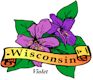 Violet, Wisconsin's state flower